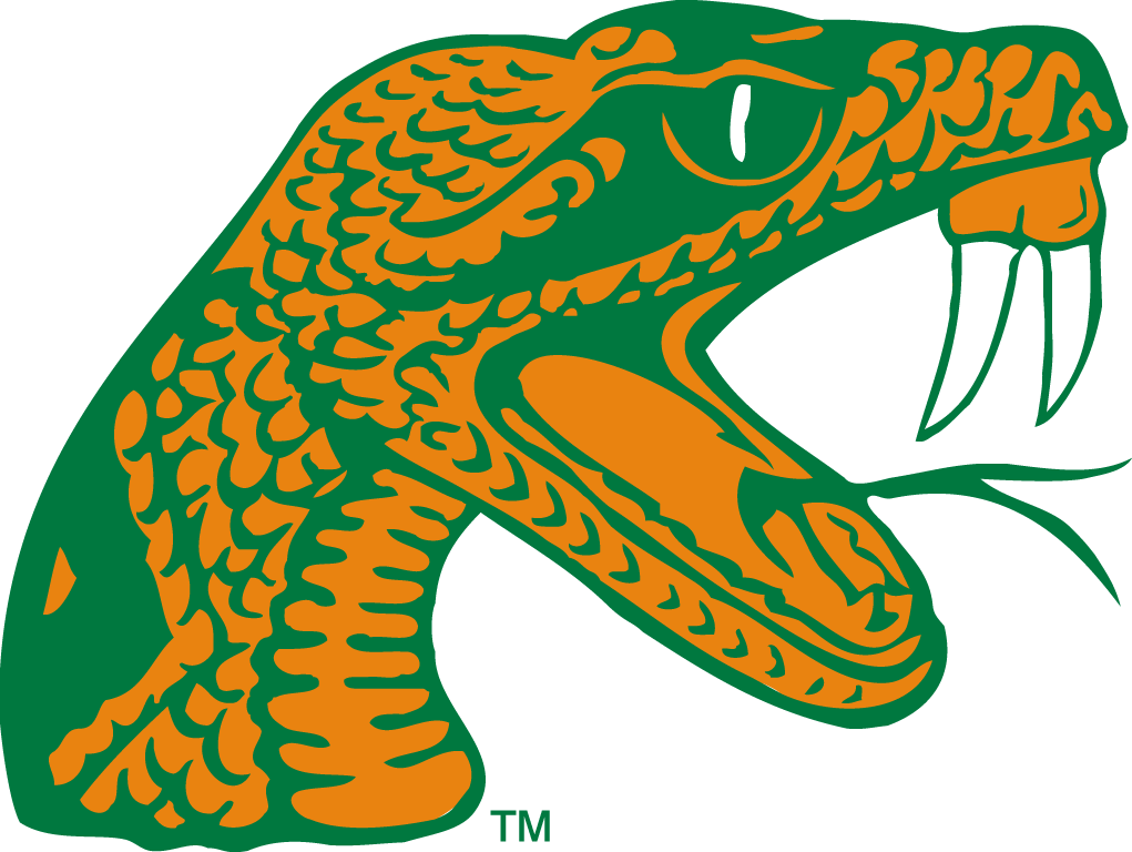 Florida A&M Rattlers 2006-pres alternate logo diy DTF decal sticker